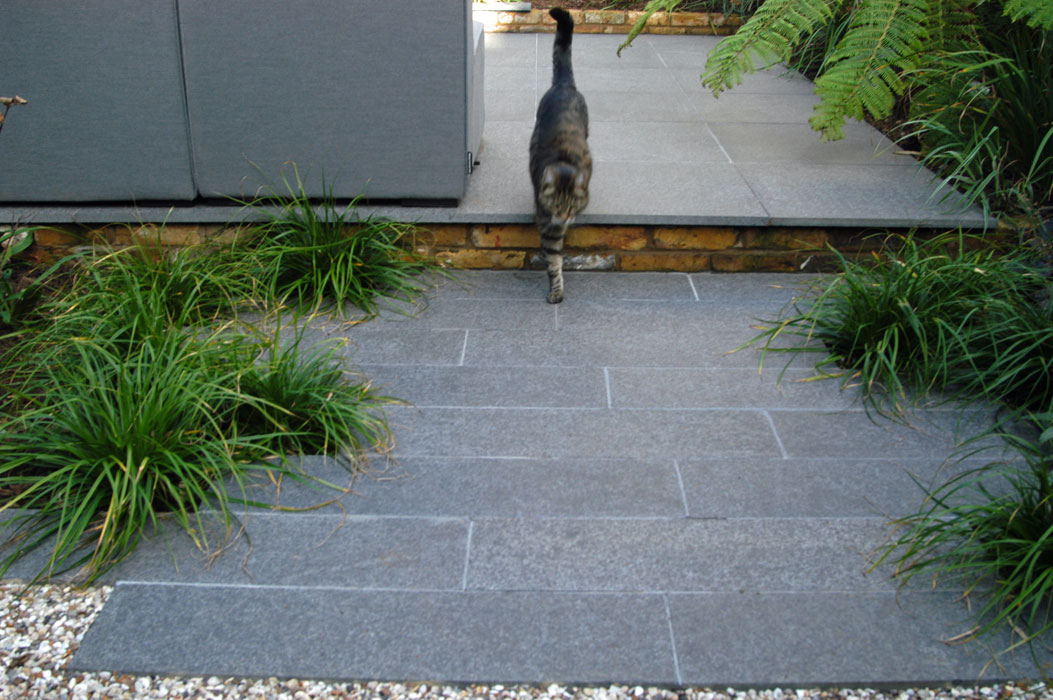 Basalt paving & evergreen grasses